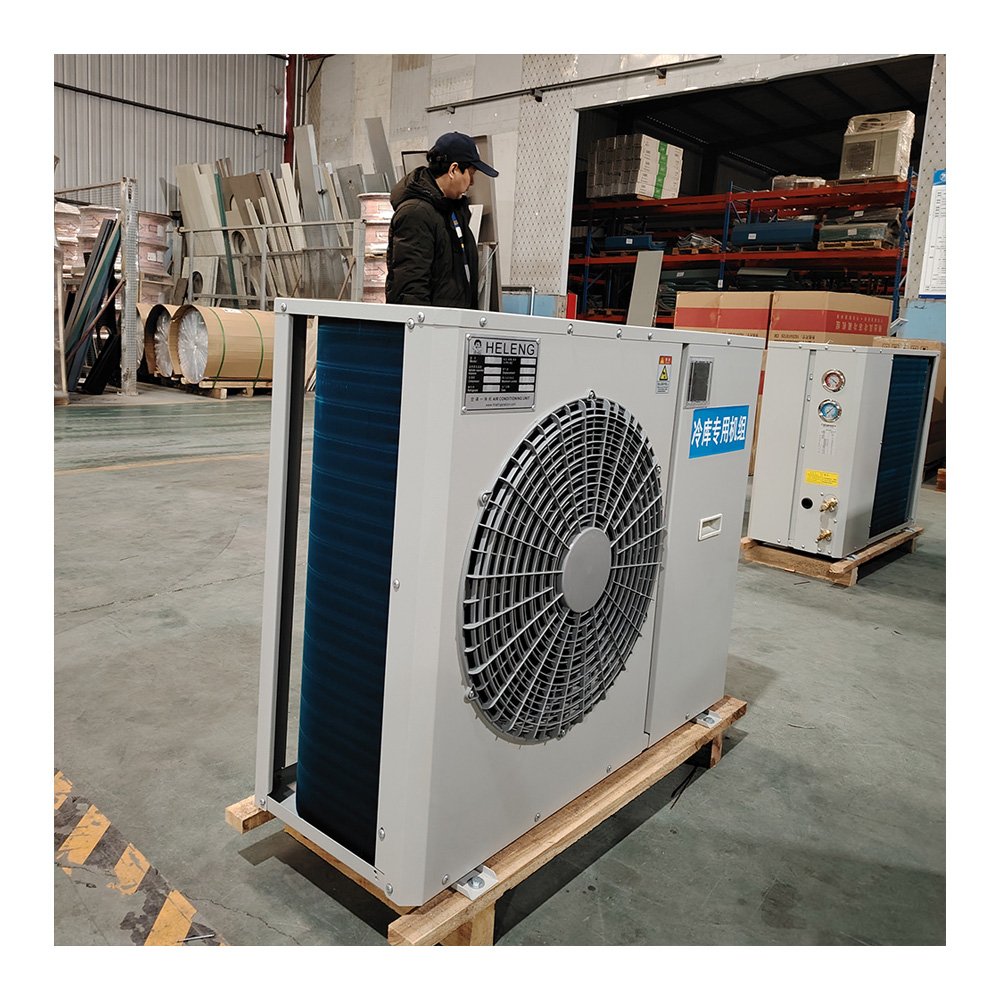 3 HP Fully Enclosed Integrated Cold Storage Unit High-Performance Air-Cooled Condensing Energy Saving Remote Controlled