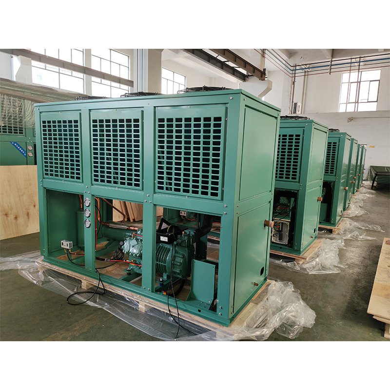 40hp 380V 50Hz FNVT Box Type Air Cooled Condensing Unit With Bitzer Compressor 6HE-28-40P for Cold Room
