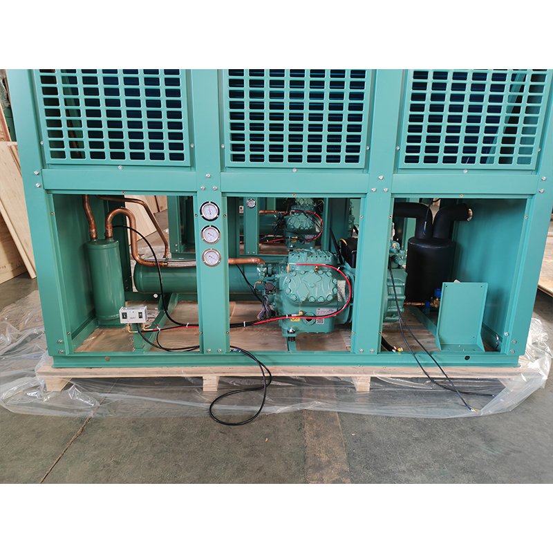 40hp 380V 50Hz FNVT Box Type Air Cooled Condensing Unit With Bitzer Compressor 6HE-28-40P for Cold Room