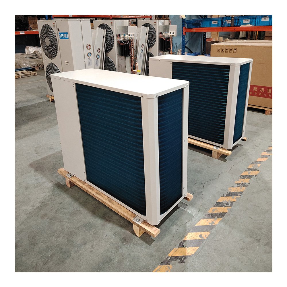 Cold Room Monoblock Unit Condensing Unit Container Cold Room Walk in Cooler Refrigeration Equipment