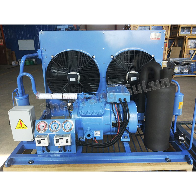 5HP Air-Cooled Piston Refrigeration Unit AP2LF005 Low Temperature Compressor Evaporator Condenser R22 Freezer Cooling