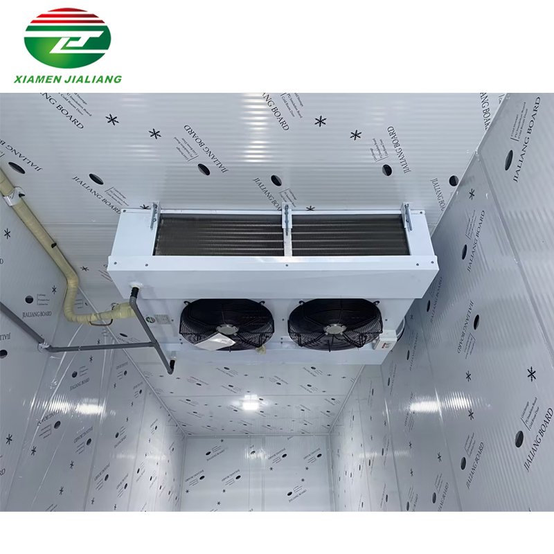 Freezer/Chiller/Cool/Cold Storage Room with Compressor Refrigeration Unit for Meat/Vegetables/Fish/Fruit