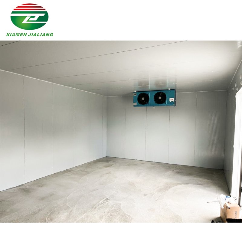 Freezer/Chiller/Cool/Cold Storage Room with Compressor Refrigeration Unit for Meat/Vegetables/Fish/Fruit