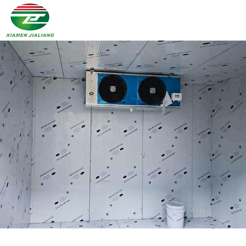 Freezer/Chiller/Cool/Cold Storage Room with Compressor Refrigeration Unit for Meat/Vegetables/Fish/Fruit