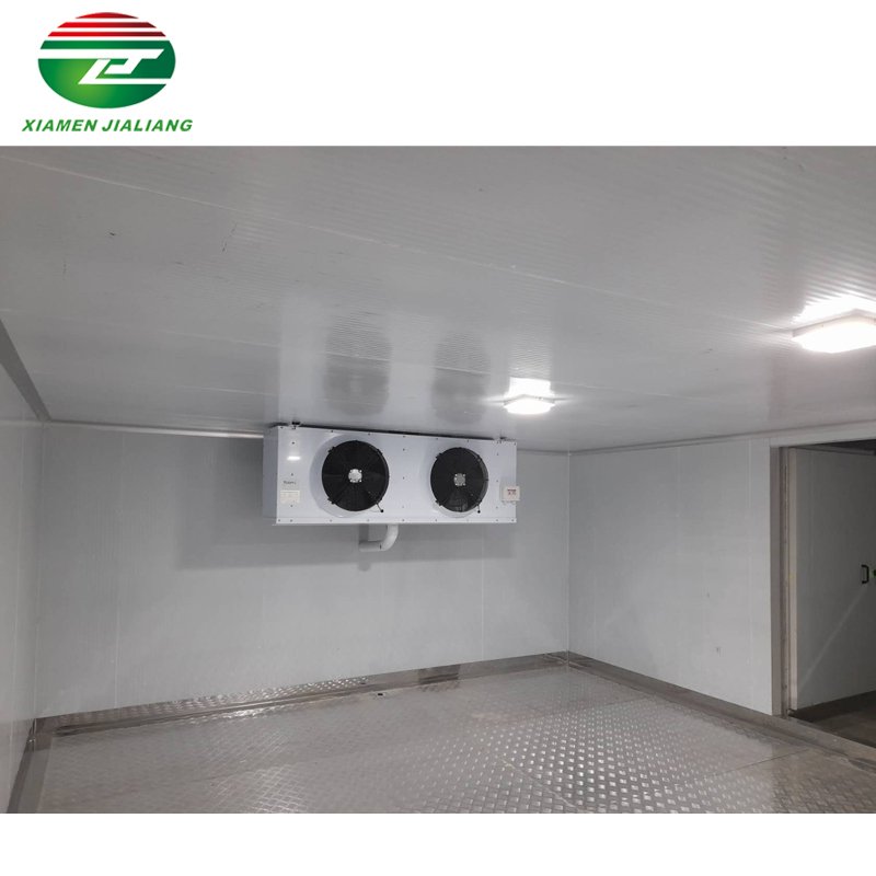 Freezer/Chiller/Cool/Cold Storage Room with Compressor Refrigeration Unit for Meat/Vegetables/Fish/Fruit