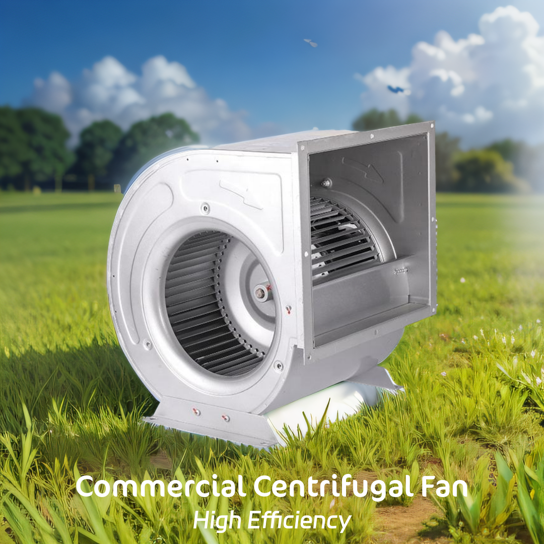 LONGWELL Customize Size High Quality DD10-8 (EC Motor) DD Series Centrifugal Blower Fan Industrial