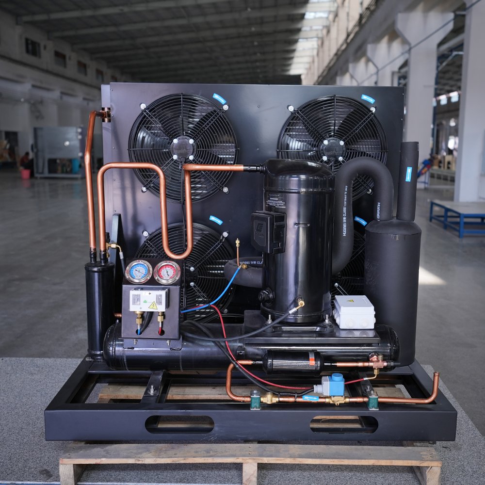 Customized Cold Room Condensing Unit R744 Compressor Co2 Refrigeration System Cold Storage Room Cheap Price