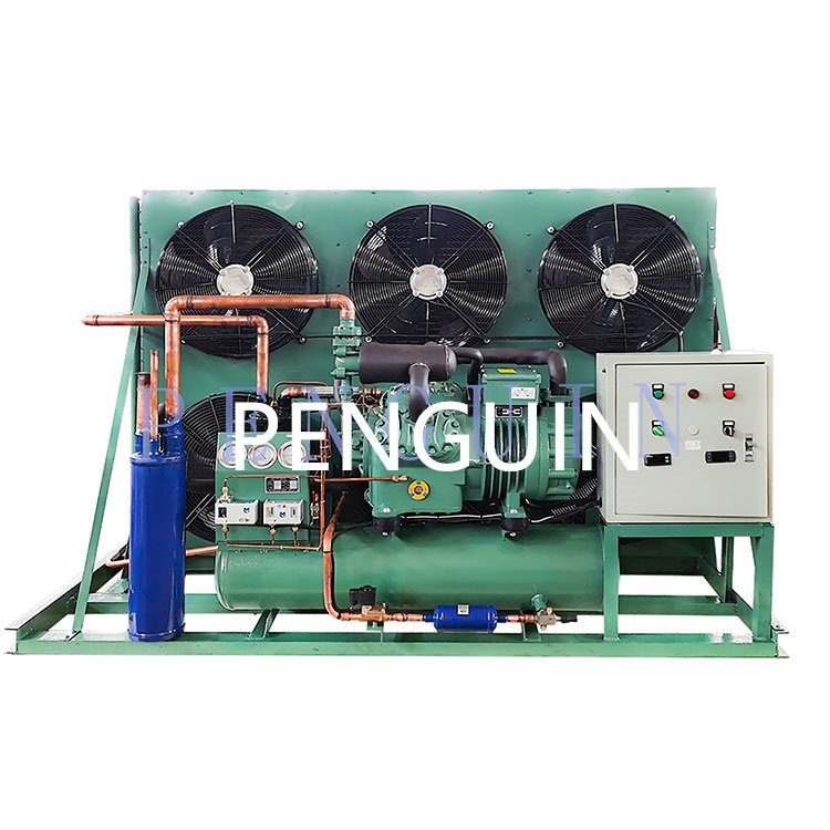 4NES-14Y-20D 4NCS-12.2(Y) 4TES-12Y-40P 12HP CQC Cold Room Air Cooling Refrigeration Compressor Unit 4TCS-12.2(Y)