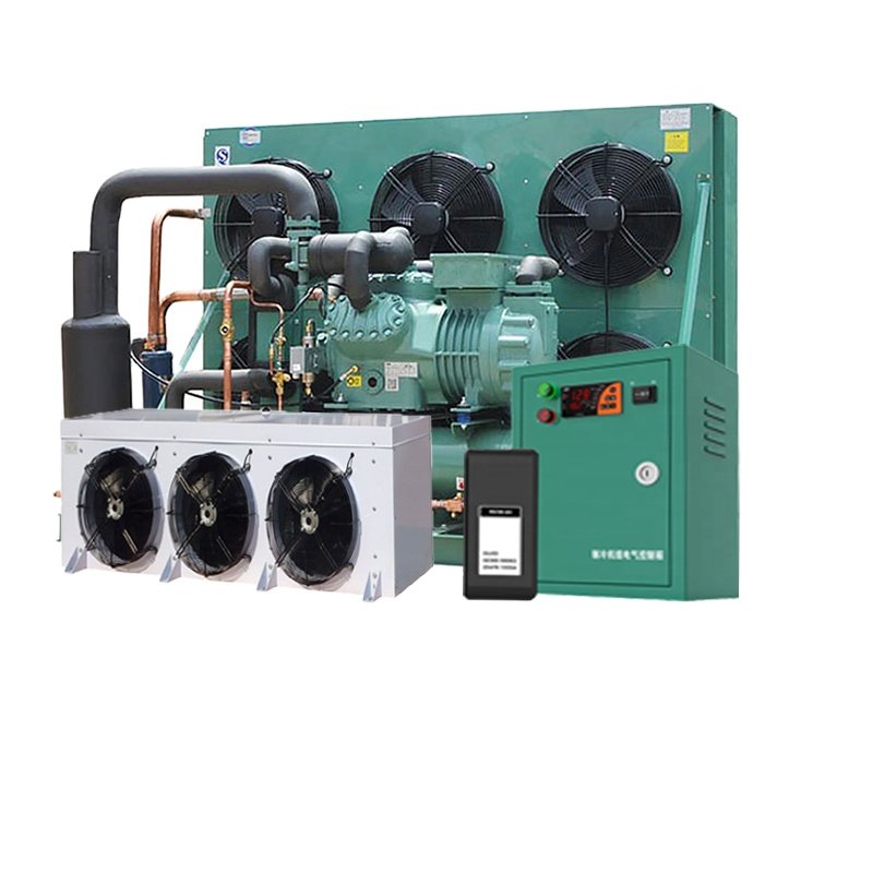Bitzer Air-Cooled Condensing Refrigeration Unit Cold Room Unit for Restaurants Home Use Farms Hotels