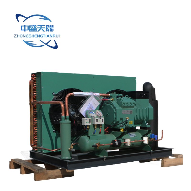 Bitzer Air-Cooled Condensing Refrigeration Unit New Cold Room Unit for Restaurants Home Use Farms Hotels