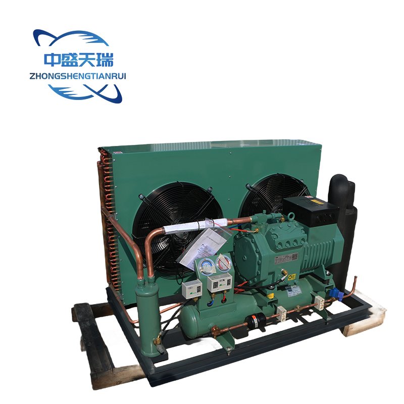 Bitzer Air-Cooled Condensing Refrigeration Unit New Cold Room Unit for Restaurants Home Use Farms Hotels