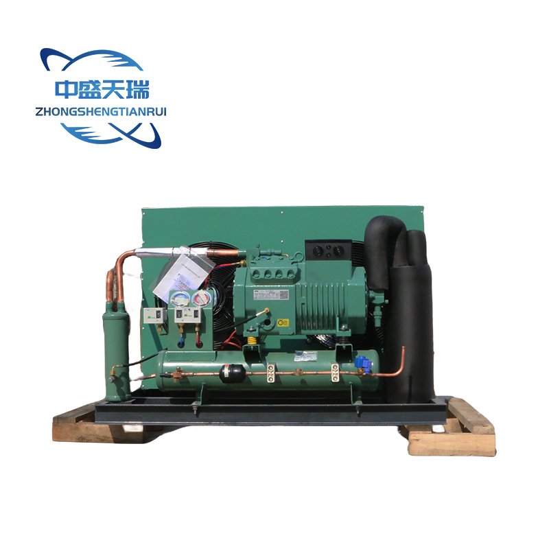 Bitzer Air-Cooled Condensing Refrigeration Unit New Cold Room Unit for Restaurants Home Use Farms Hotels