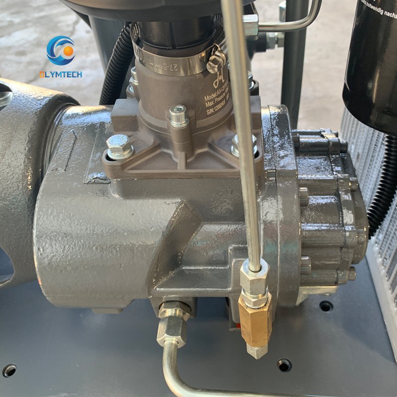 Compact Single Phase 220/230/240V Rotary Screw Air Compressor 8 Bar~12.5 Bar Tank Mounted Automotive Shop Pump Engine Core