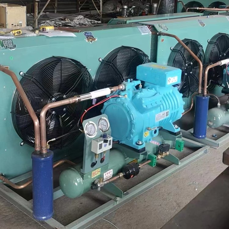 Refrigeration Compressor Low Temperature Compressor for Semi Hermetic Condensing Unit Refrigeration Unit in the Cold Storage