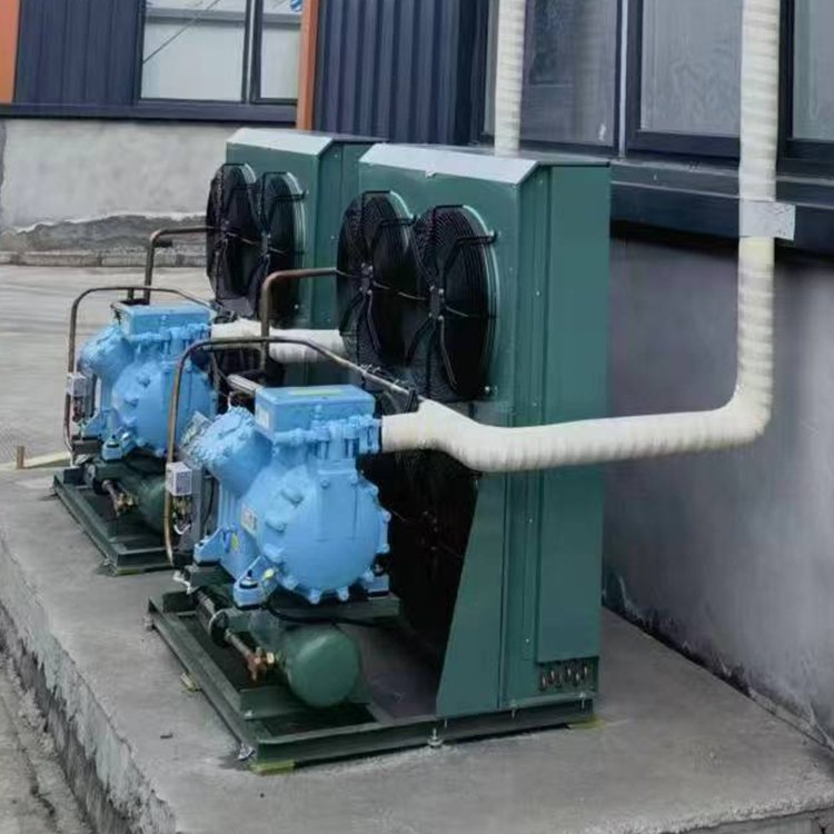 Refrigeration Compressor Low Temperature Compressor for Semi Hermetic Condensing Unit Refrigeration Unit in the Cold Storage
