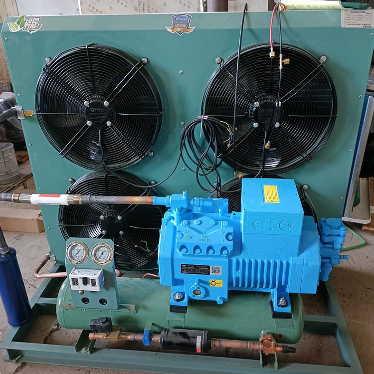 Refrigeration Compressor Low Temperature Compressor for Semi Hermetic Condensing Unit Refrigeration Unit in the Cold Storage