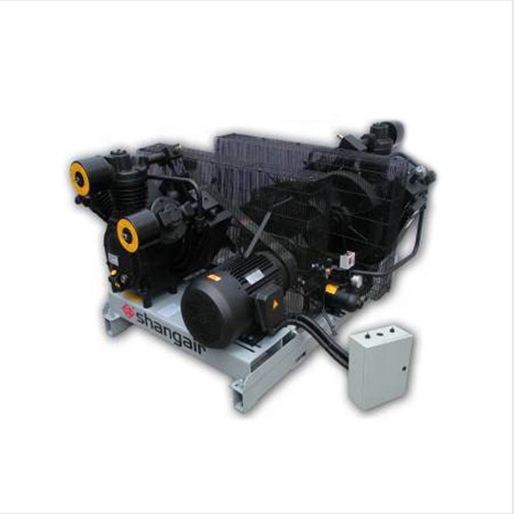 20HP High Pressure Air Compressor for Blow Machine Auxiliary Machine