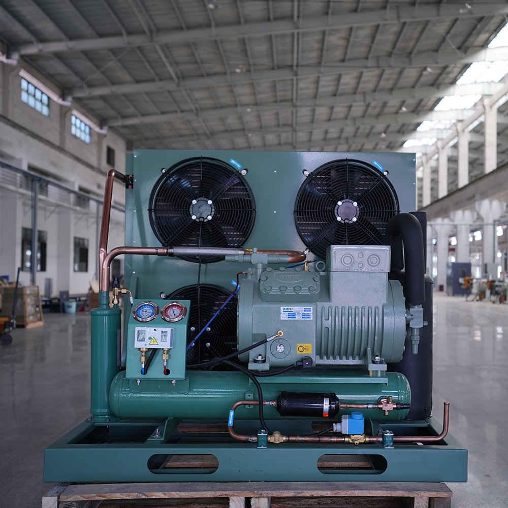 3hp 4hp 5hp 6hp 7.5hp 10hp 12hp 20hp Refrigeration Condenser Unit Air Cooled Freezer Condensing Freezing Units for Cold Room
