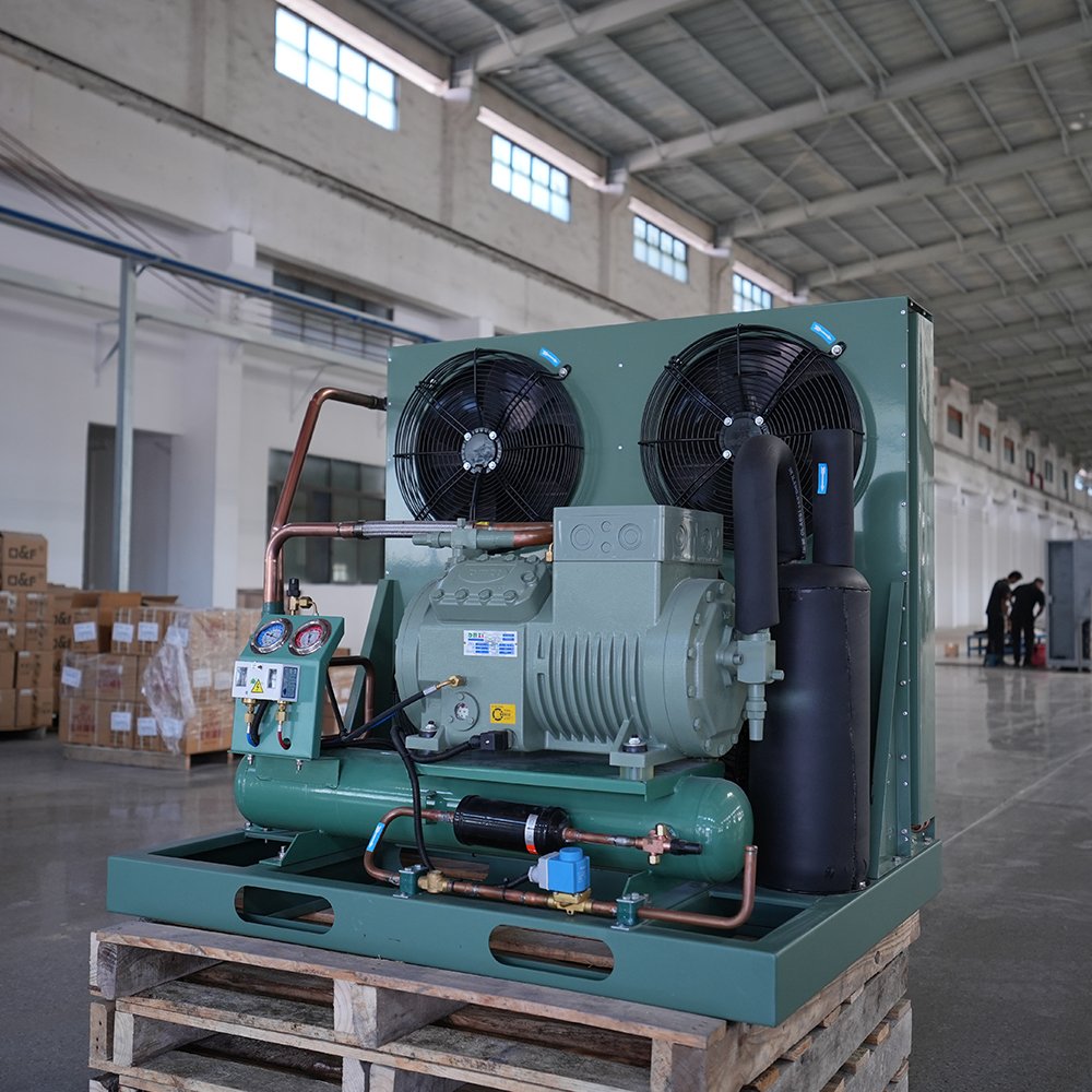 3hp 4hp 5hp 6hp 7.5hp 10hp 12hp 20hp Refrigeration Condenser Unit Air Cooled Freezer Condensing Freezing Units for Cold Room