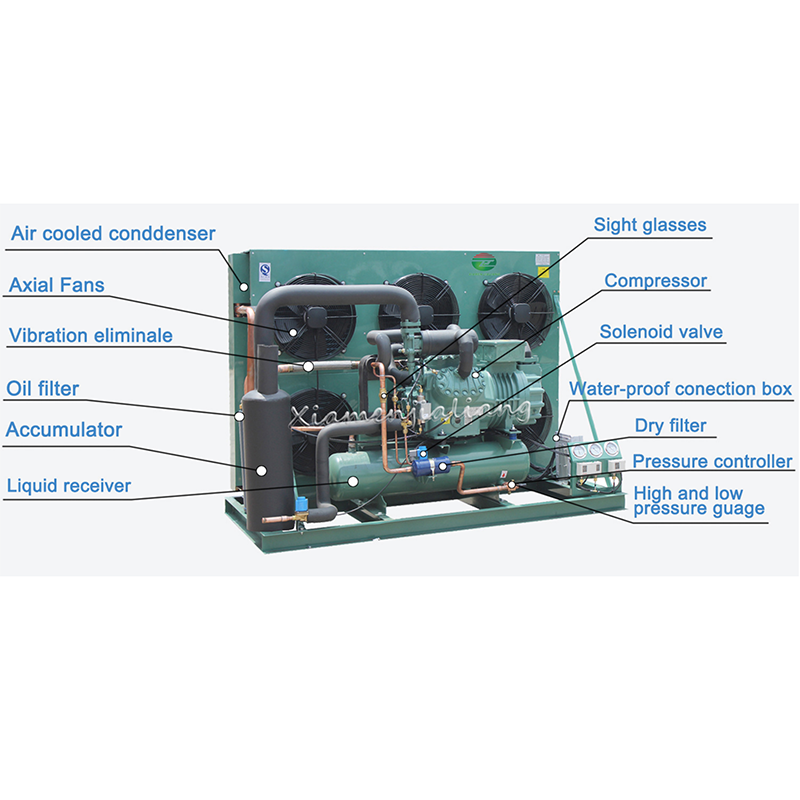 20 Ton Bitzer Compressor Condensing Unit Air-Cooled Refrigeration Unit for Cold Room Blast Freezer Restaurants