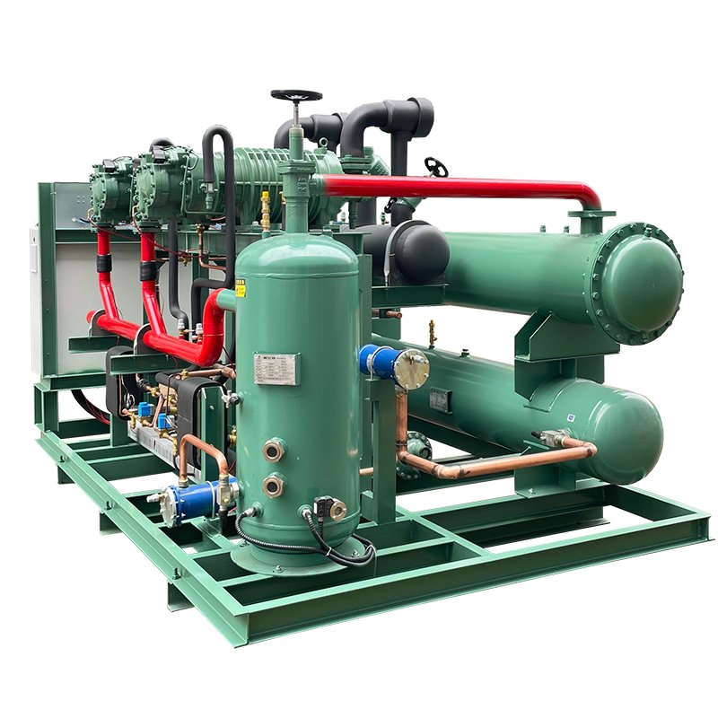 Jiangsu Huarui Low Temperature 70HP Screw Compressor Air-cooled Single Screw Condensing Unit Refrigeration Equipment