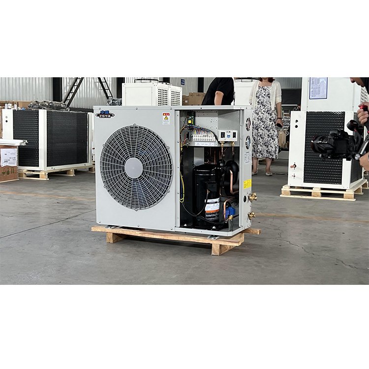 Customized Air Cooled Condenser 2hp 3hp Copeland Refrigeration Compressor Condensing Units for Cold Room