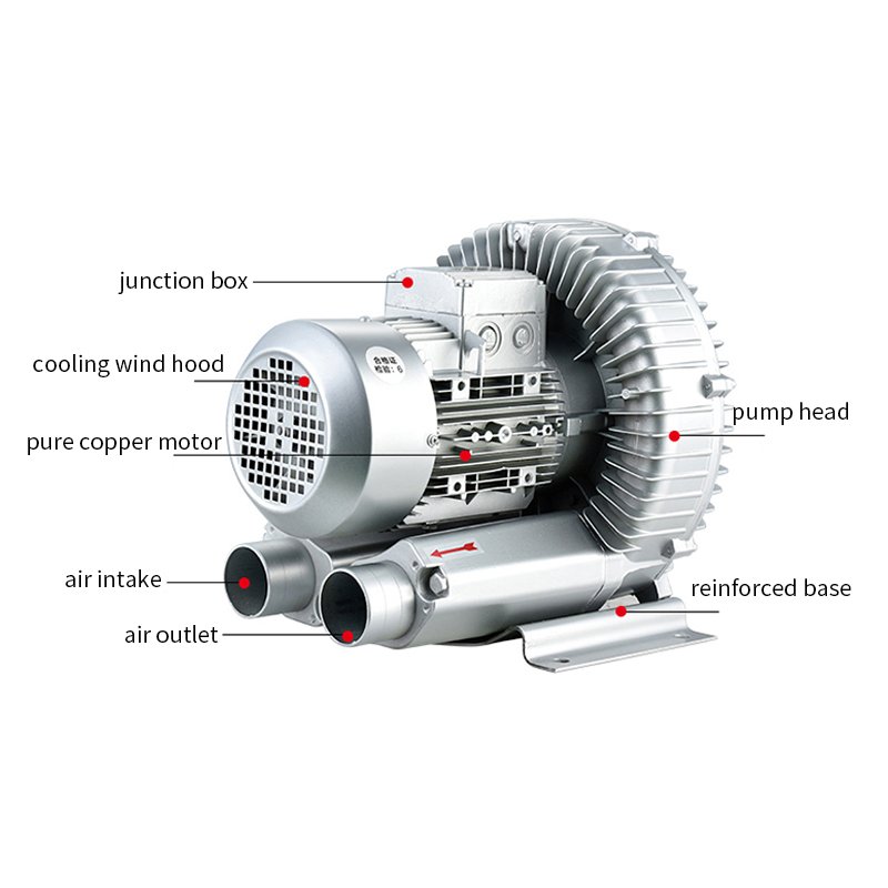 High-Pressure 220v 50Hz Electric Blower Pump Double-Stage Vortex Type Industrial Use Oxygenator for River Fish Pond OEM