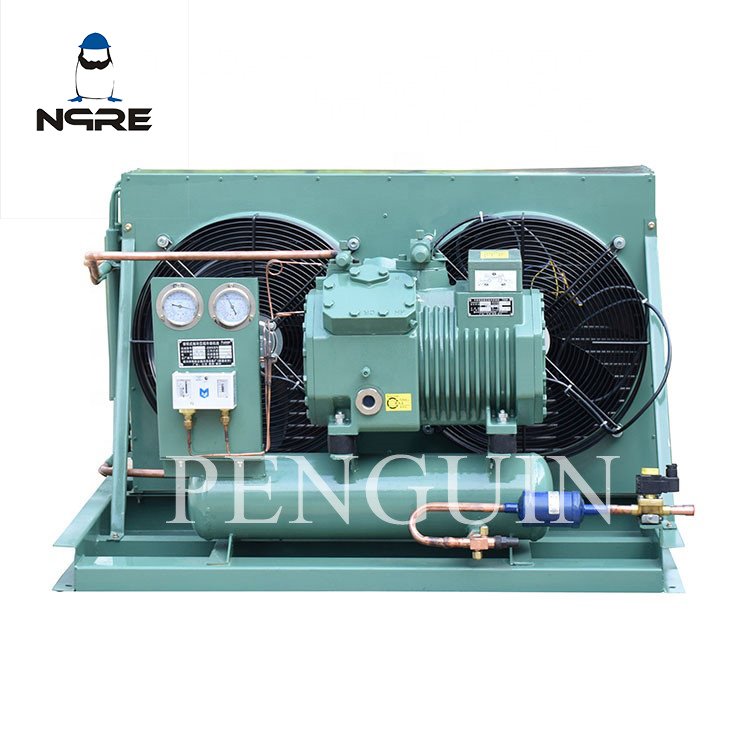 3hp 4hp 5hp 6hp 7.5hp 10hp 12hp Refrigeration Condenser Unit Air Cooled Freezer Condensing Freezing Units for Cold Room