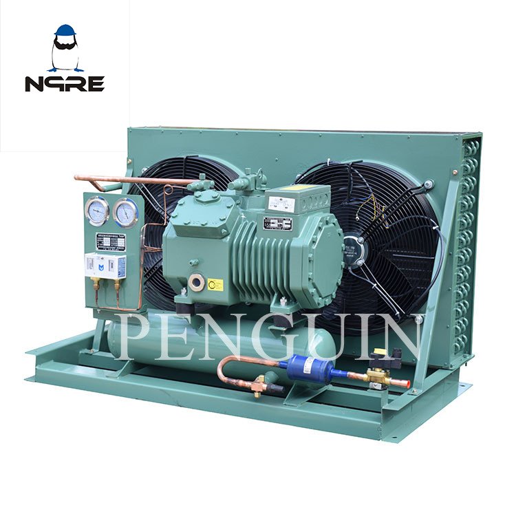 3hp 4hp 5hp 6hp 7.5hp 10hp 12hp Refrigeration Condenser Unit Air Cooled Freezer Condensing Freezing Units for Cold Room