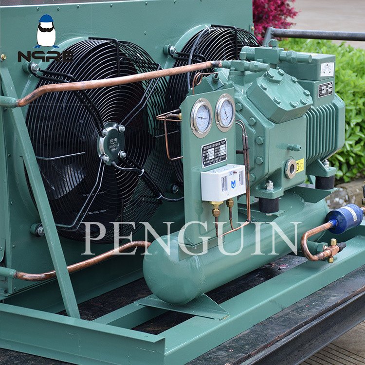 3hp 4hp 5hp 6hp 7.5hp 10hp 12hp Refrigeration Condenser Unit Air Cooled Freezer Condensing Freezing Units for Cold Room