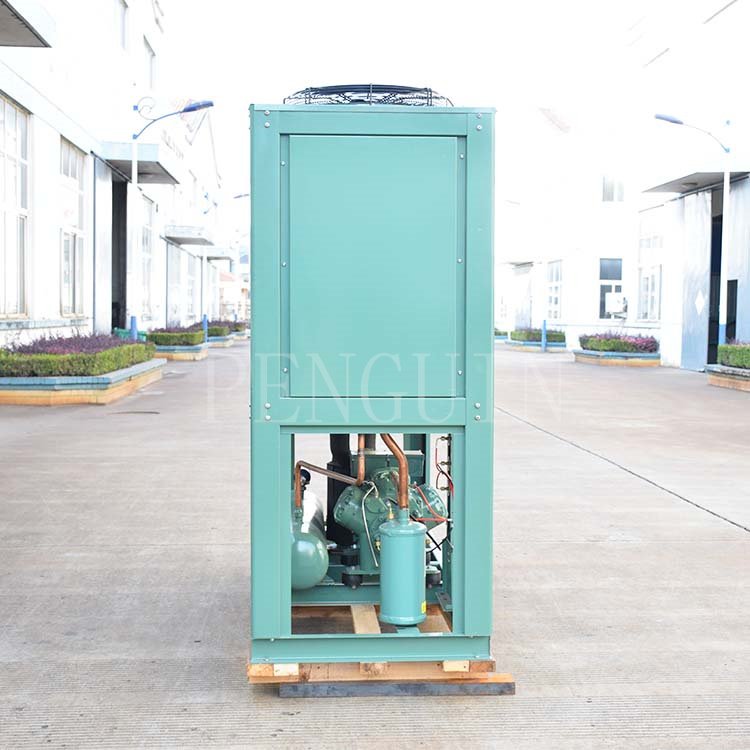 High Quality 30HP Low Noise Reciprocating Refrigeration Compressor Box Type Air Cooled Freezer Condensing Unit