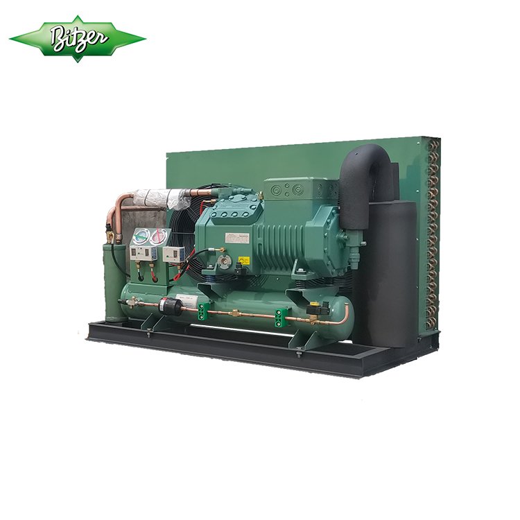 Industrial Evaporative Air Cooler Unit Walk in Freezer Box Type Condenser Refrigeration Unit 4CES-6Y 4TES-9Y 4PES-12Y R404a
