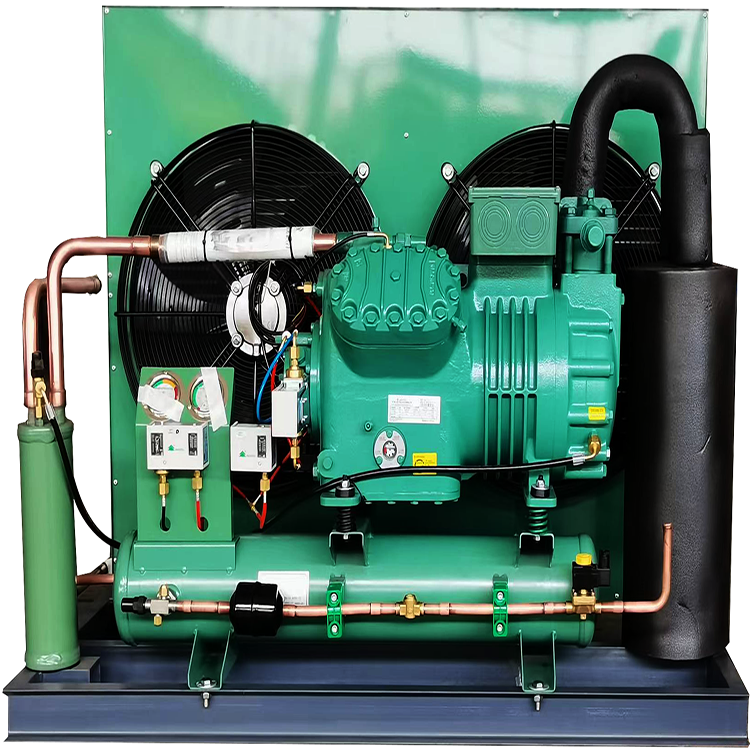 Industrial Evaporative Air Cooler Unit Walk in Freezer Box Type Condenser Refrigeration Unit 4CES-6Y 4TES-9Y 4PES-12Y R404a