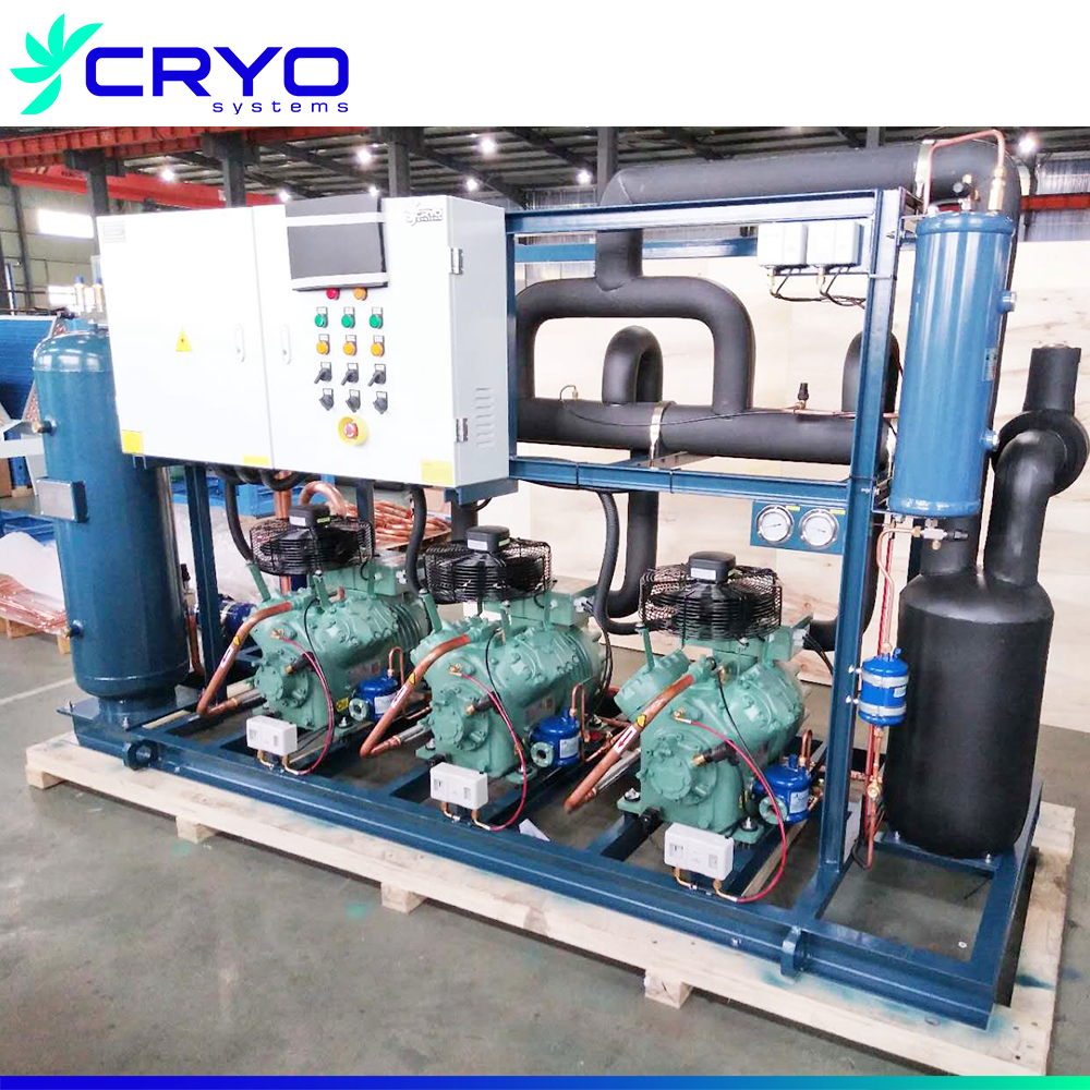Blast Freezer Tunnel Low Industrial /double Screw Parallel Compressor Unit for Sale