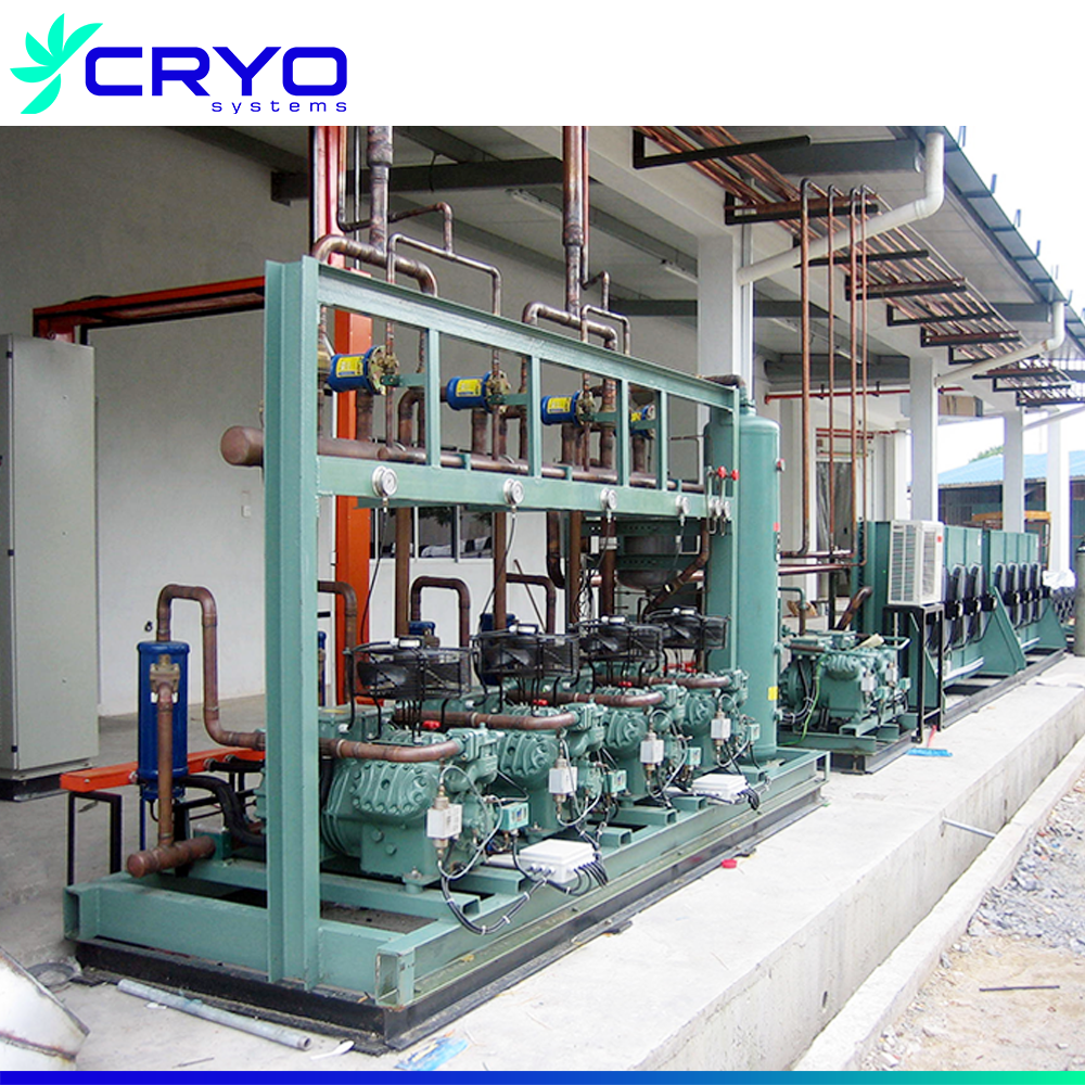 Blast Freezer Tunnel Low Industrial /double Screw Parallel Compressor Unit for Sale