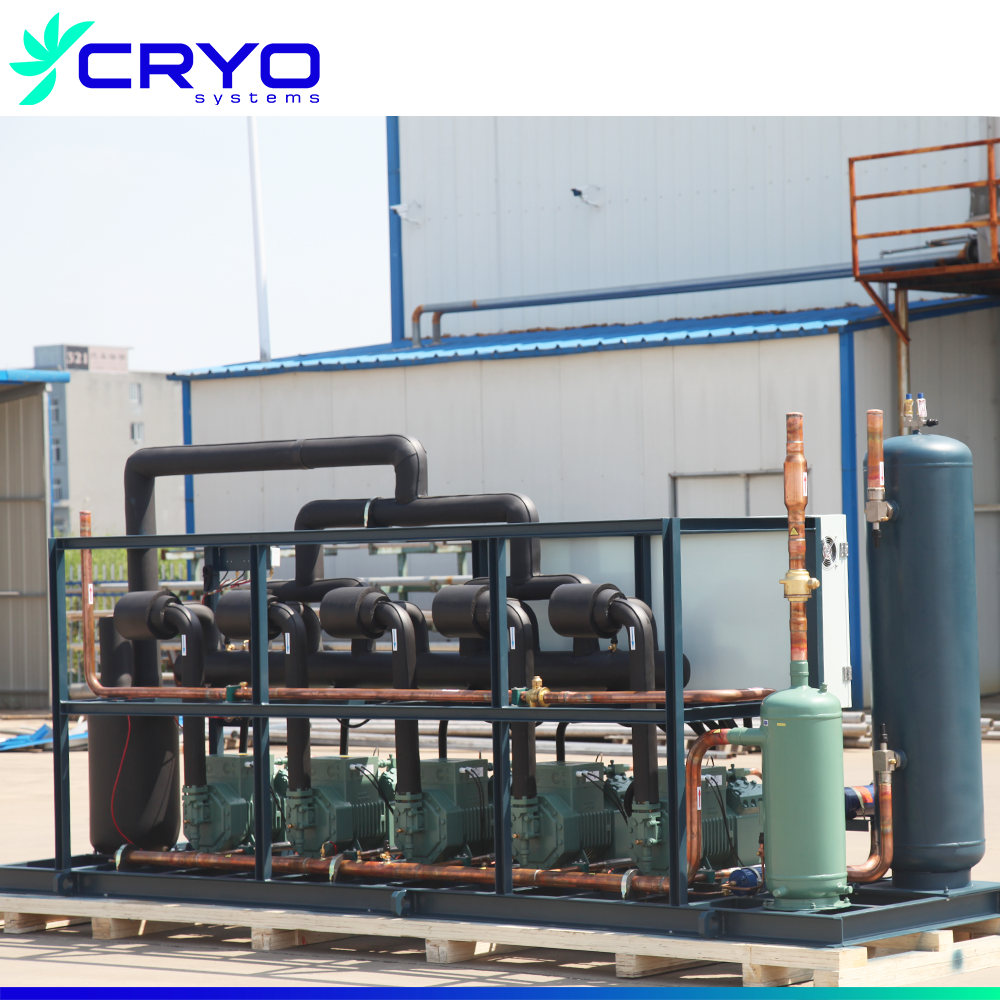 Blast Freezer Tunnel Low Industrial /double Screw Parallel Compressor Unit for Sale