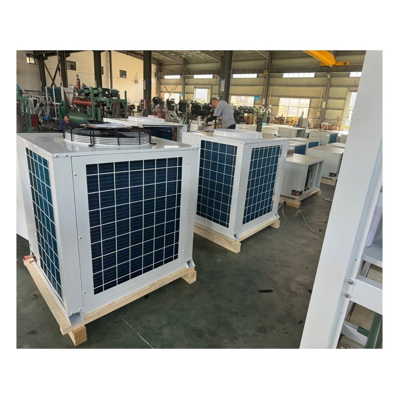 Compressors for Box-type U-condensing Units Can Be Customised Industrial Electric Piston Compressor
