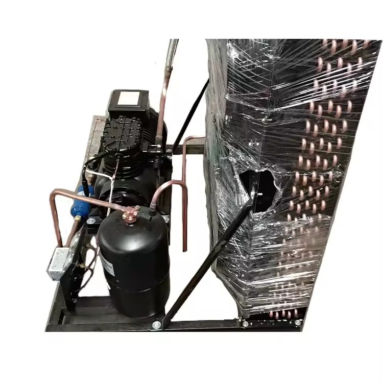 Piston Condensing Unit of Refrigeration Equipment for Cold Room/cold Storage Machine