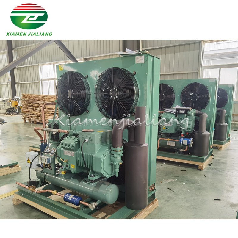 R22 R404a Cold Room Air Cooled Compressor Condensing Unit for Cold Storage