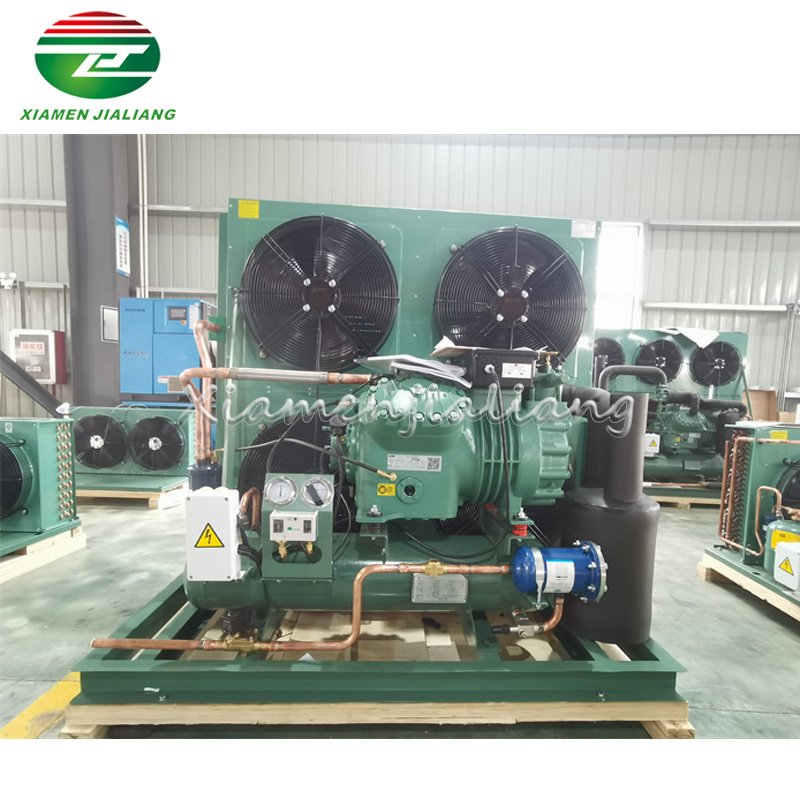 R22 R404a Cold Room Air Cooled Compressor Condensing Unit for Cold Storage