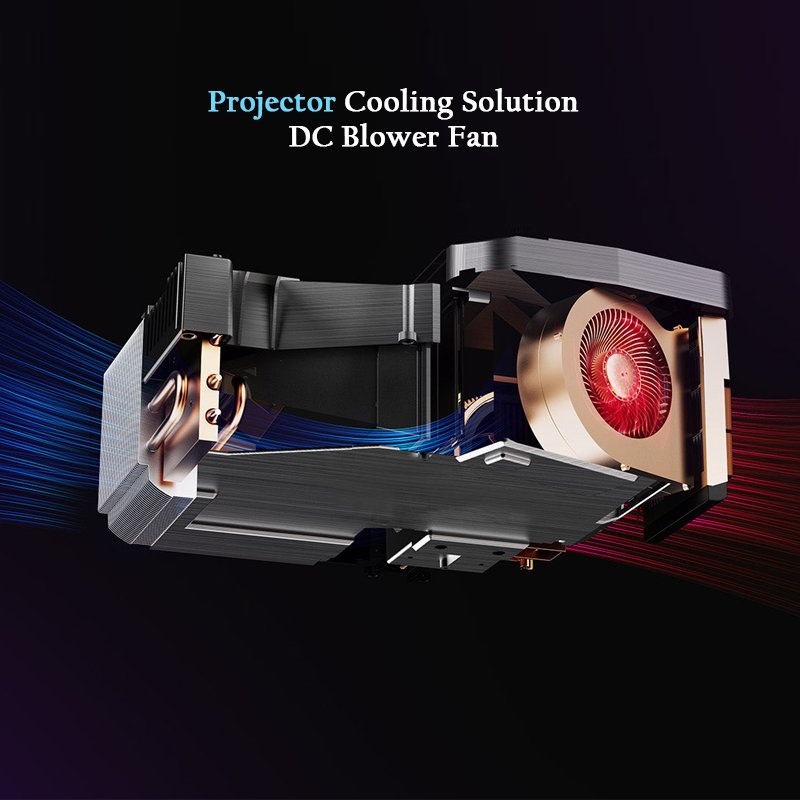 Verified Supplier 6015Plastic High Air Volume 60x15mm 5V 12V 24V Ball Bearing DC Air Blower Fan