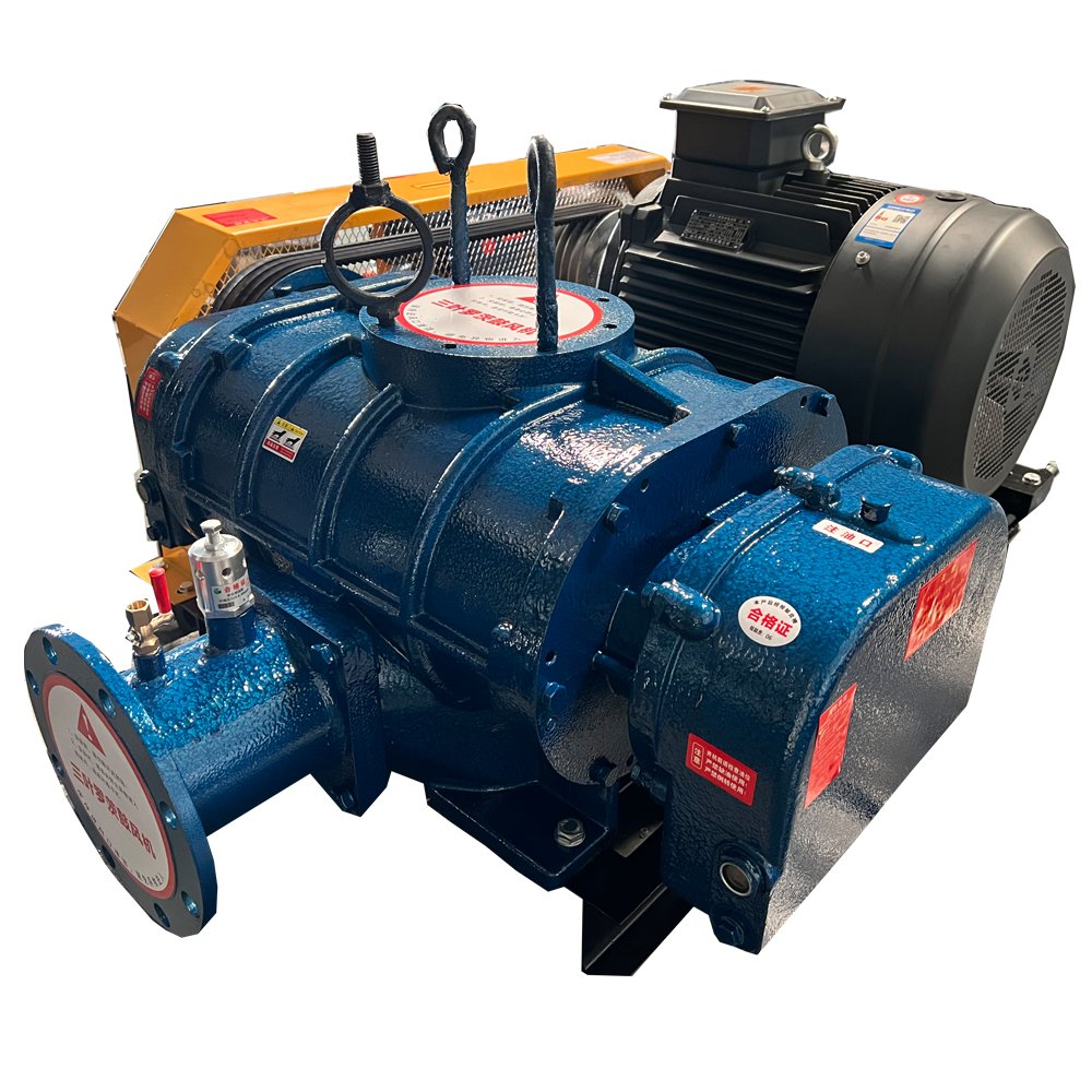 Top Quality Vacuum Pneumatic Pump Air Cooled Cycle Gas Circulating High Capacity Sewage Water Treatment Roots Vacuum Pump