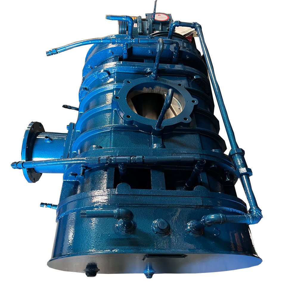 Top Quality Vacuum Pneumatic Pump Air Cooled Cycle Gas Circulating High Capacity Sewage Water Treatment Roots Vacuum Pump