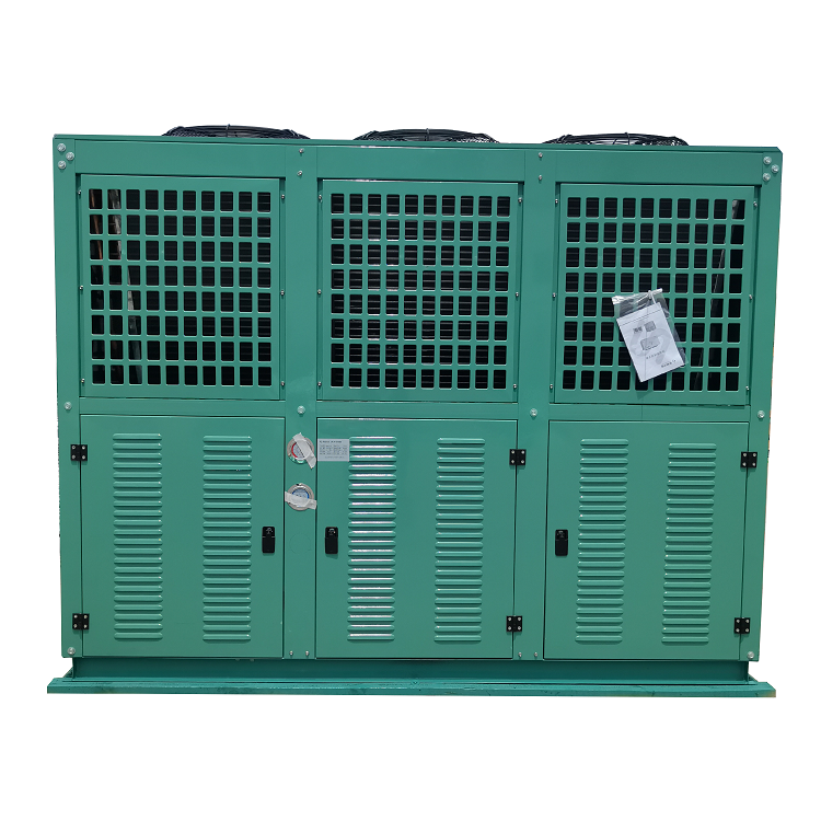 Factory Top Quality Cold Storage Refrigeration Unit Semi Hermetic Open Piston Compressor Air-cooled Condenser Equipment of Bitze