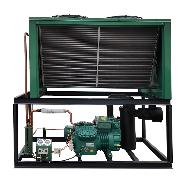 Factory Top Quality Cold Storage Refrigeration Unit Semi Hermetic Open Piston Compressor Air-cooled Condenser Equipment of Bitze