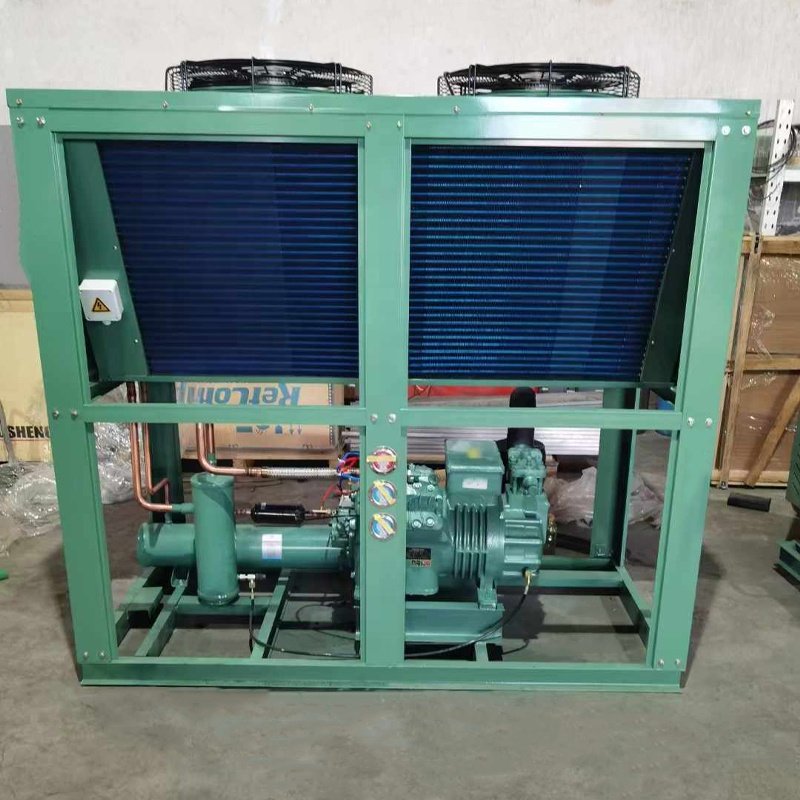 Industrial Air-cooled Condensed Unit Cooling Machine Compressor Refrigeration Condensing Unit of Bitzer For Blast Freezer