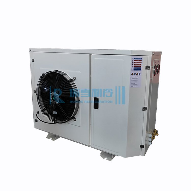 RUIXUE Condensing Unit Cooling Unit for Cold Room Mini Air-cooled Refrigeration Condensing Unit RX-FNL-02MH