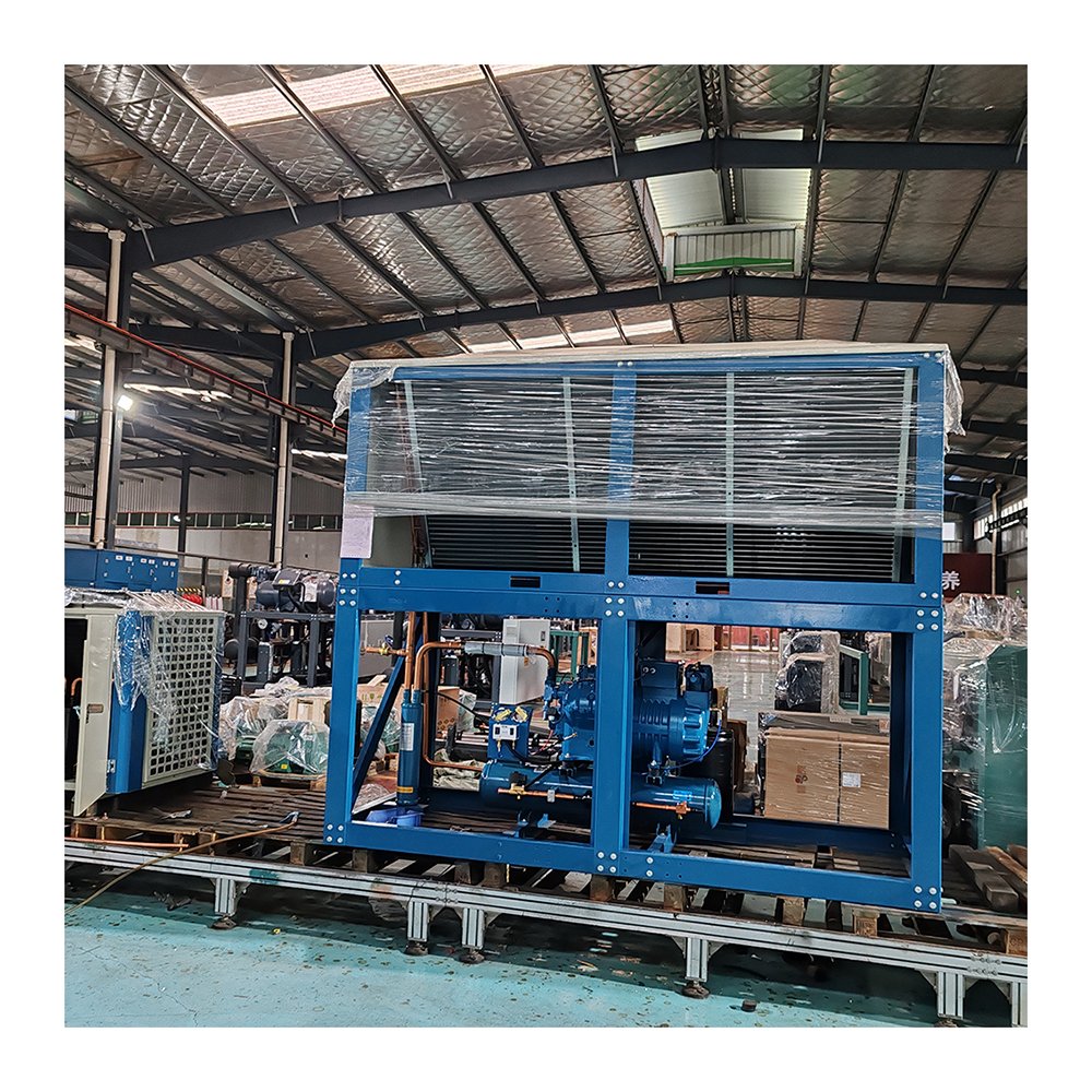 Cold Storage Condensing Unit for Sale Industrial Refrigerated Storage Units for Cold Storage Room