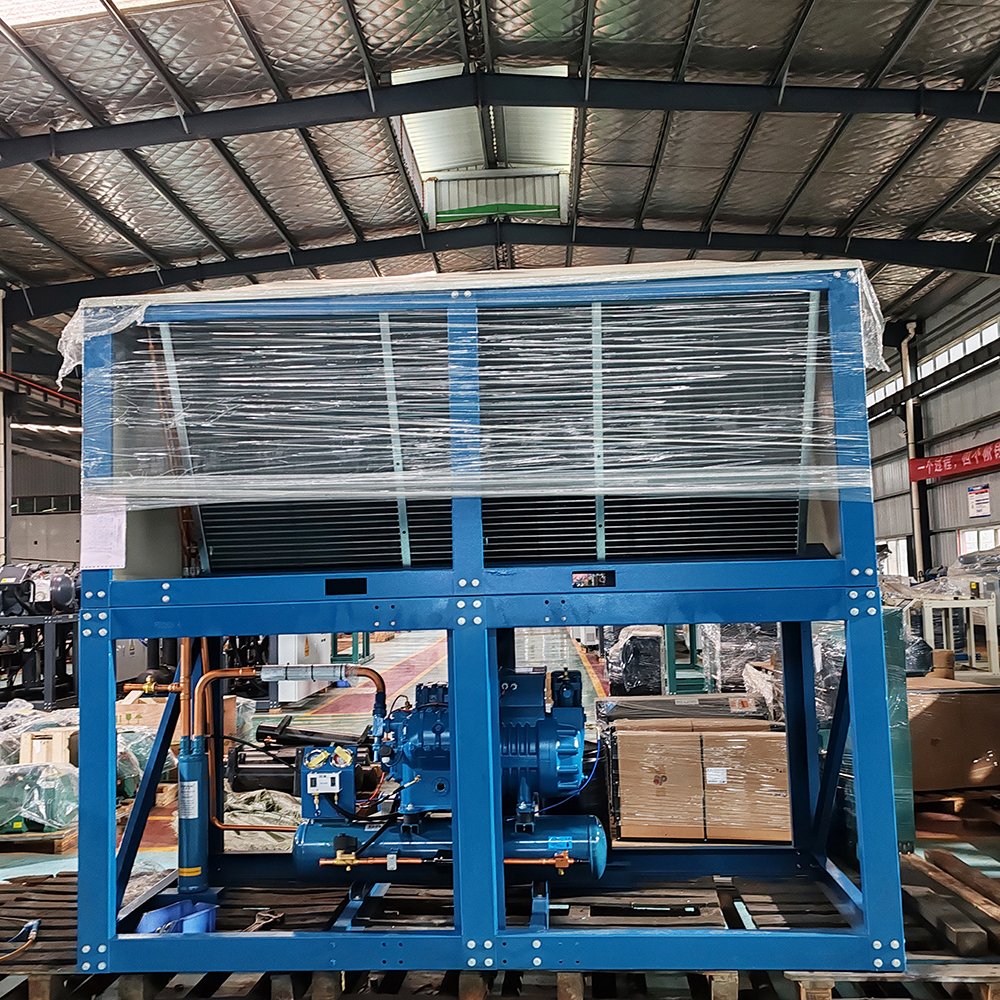 Cold Storage Condensing Unit for Sale Industrial Refrigerated Storage Units for Cold Storage Room