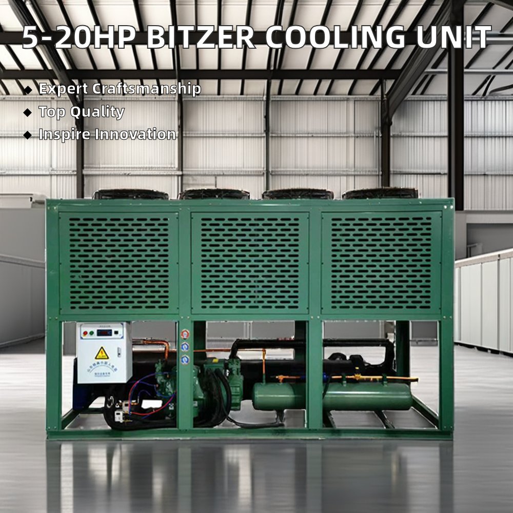 Bitzer Compressor Air Cooled Refrigeration Unit 5hp-20hp Motor Engine Freezer Restaurant New Cold Room Condensing Units